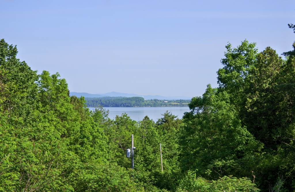 1018 Turkey Farm Road Orwell, VT 05760 - Photo 2 of 40