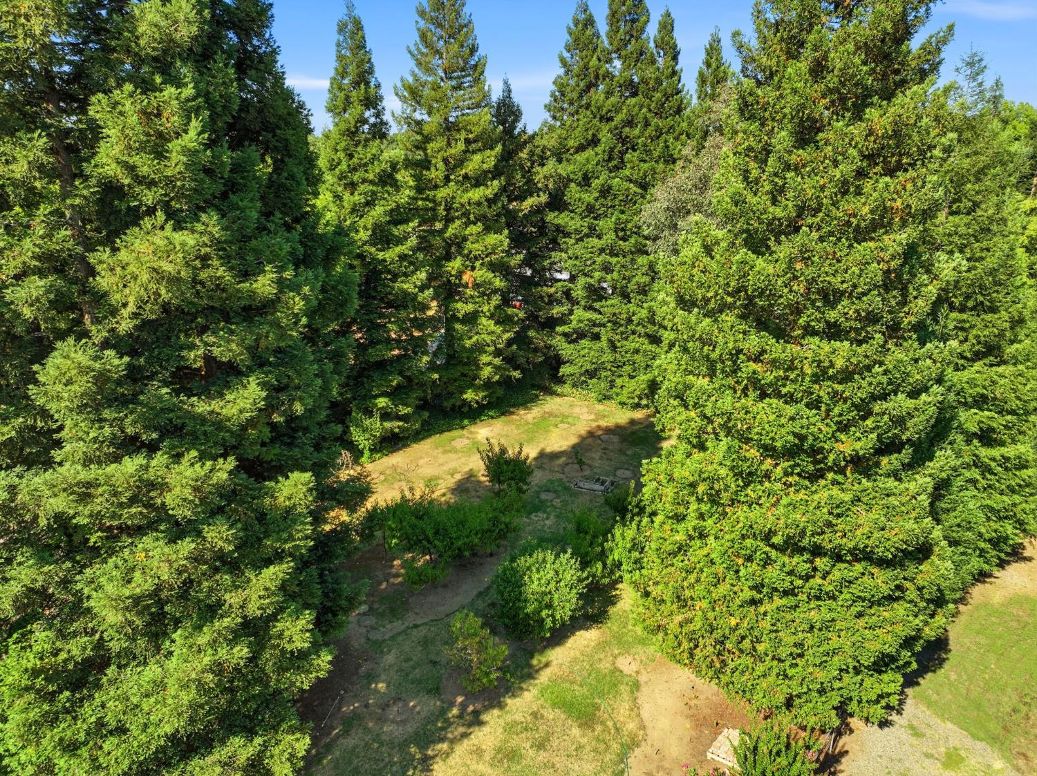 3012 Root Avenue Carmichael, CA 95608 - Photo 74 of 76