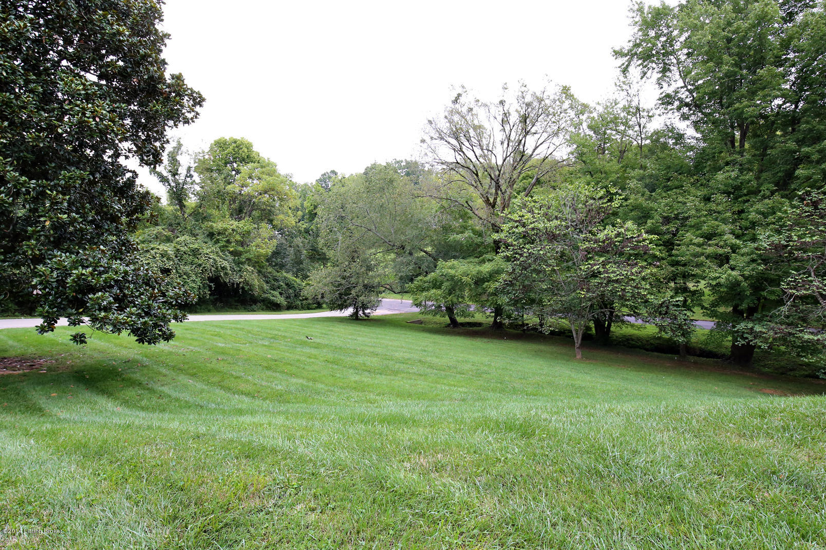 110 Tribal Road Louisville, KY 40207 - Photo 29 of 44 IMG_1448