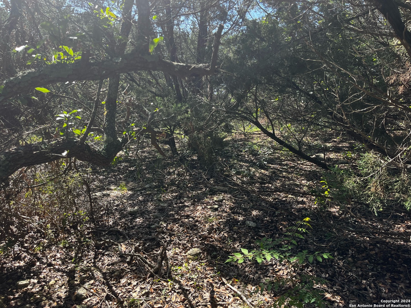 628 Hillside Drive Spring Branch, TX 78070 - Photo 2 of 7