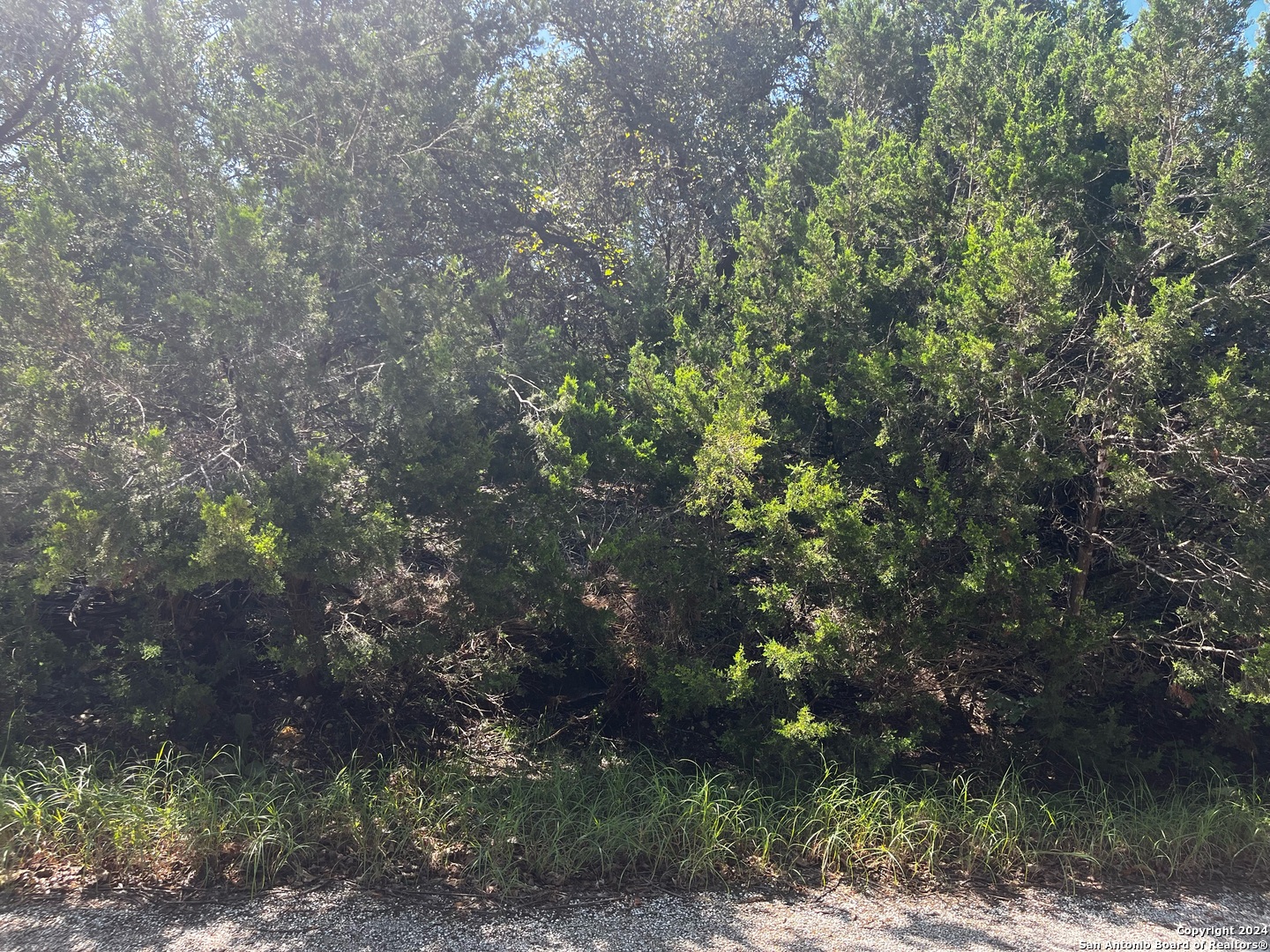 628 Hillside Drive Spring Branch, TX 78070 - Photo 7 of 7 a view of a tree