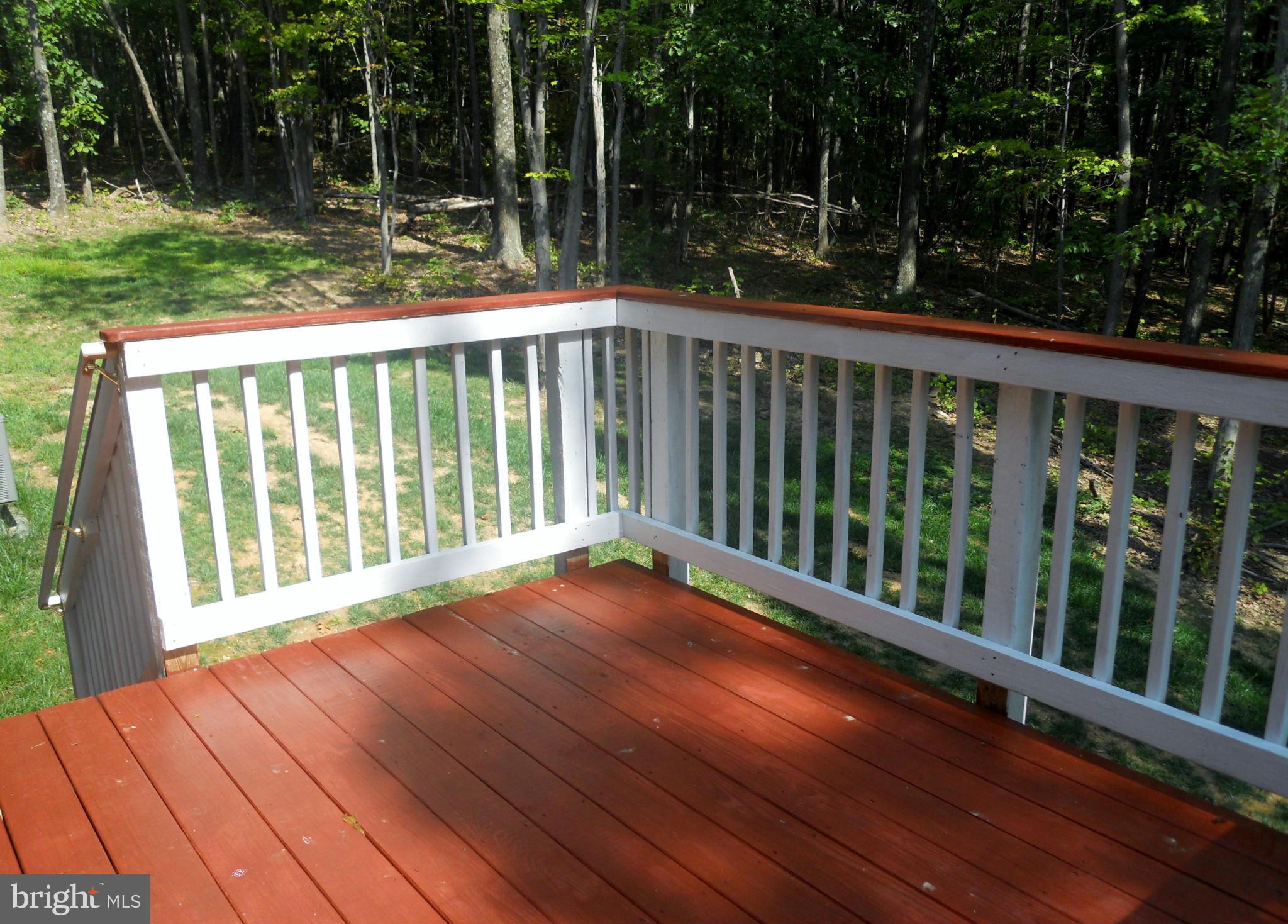 244 Fairview Church Road Gore, VA 22637 - Photo 16 of 30 a view of backyard with green space