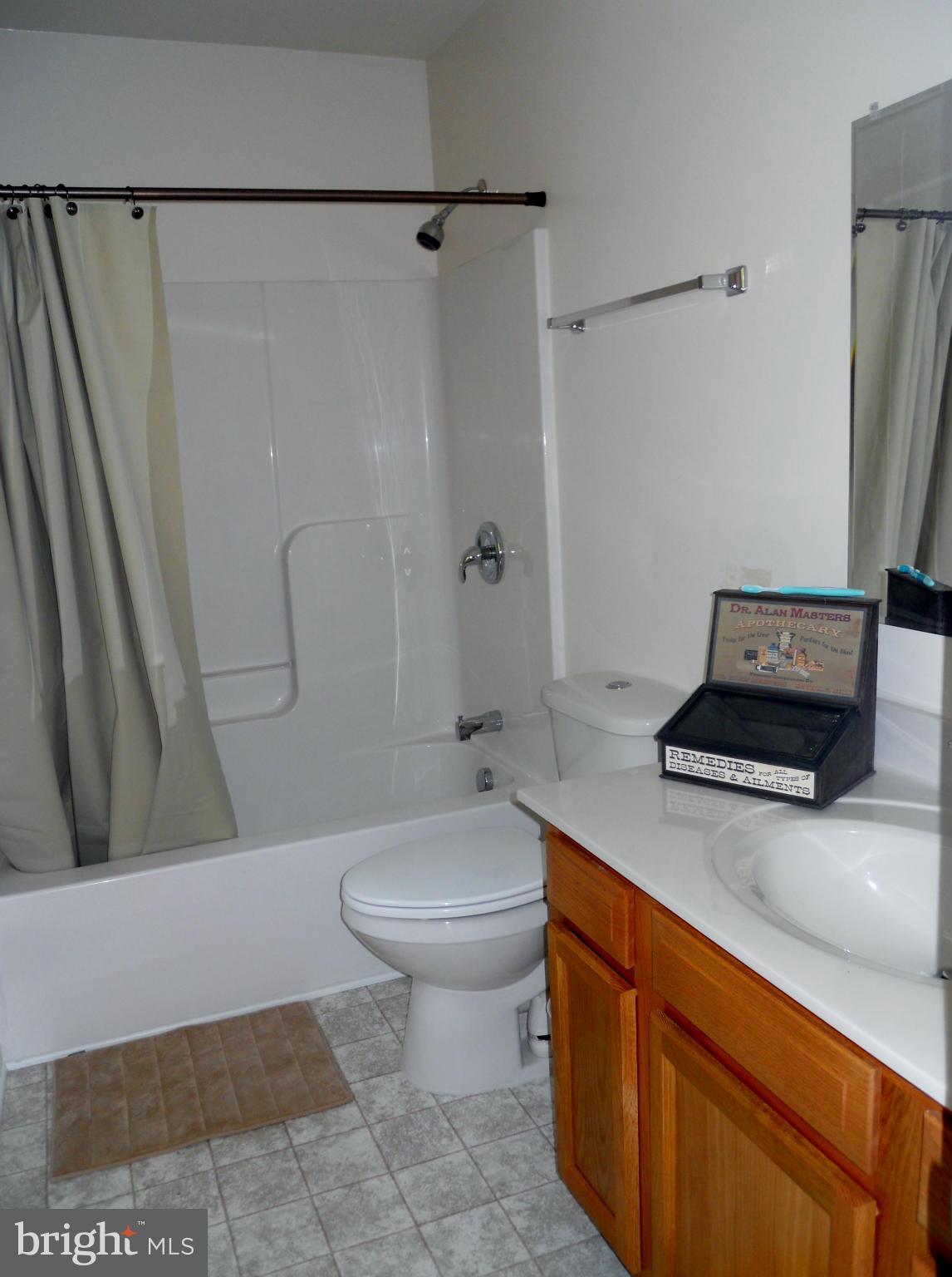244 Fairview Church Road Gore, VA 22637 - Photo 20 of 30 a bathroom with a sink a toilet and a shower