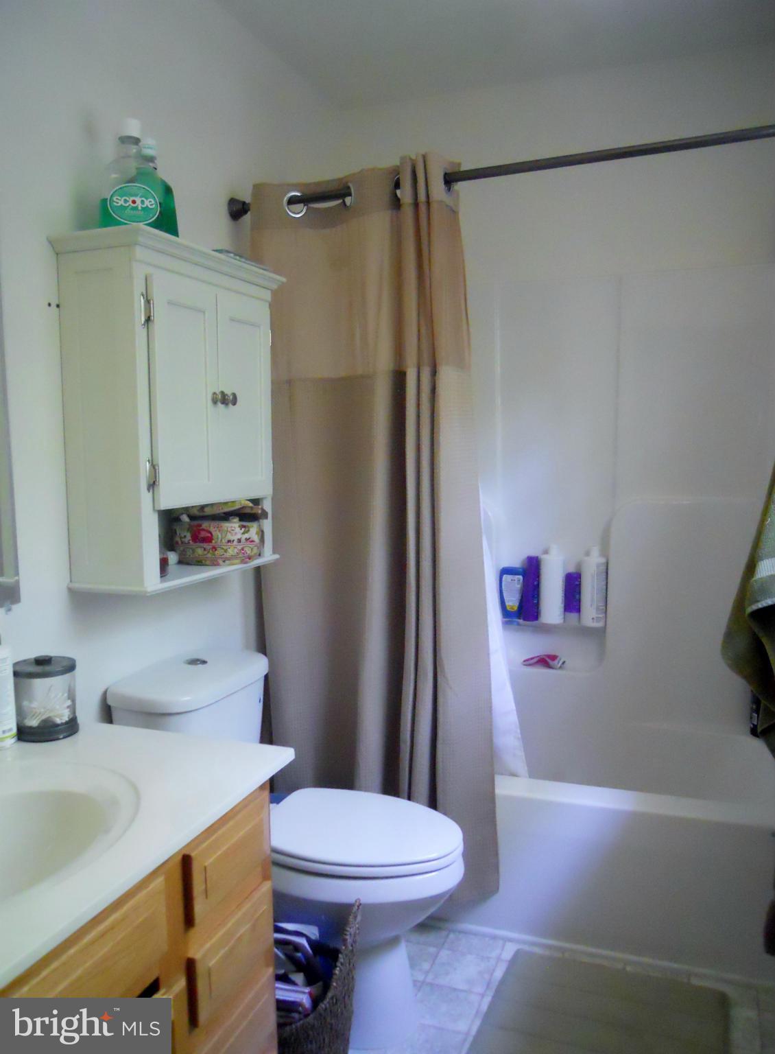 244 Fairview Church Road Gore, VA 22637 - Photo 26 of 30 a bathroom with a sink a toilet and shower