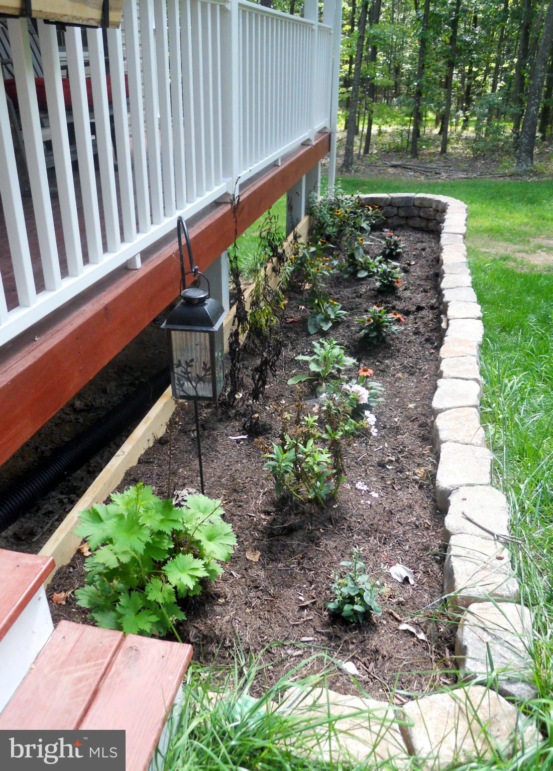 244 Fairview Church Road Gore, VA 22637 - Photo 5 of 30 a garden view with a seating space