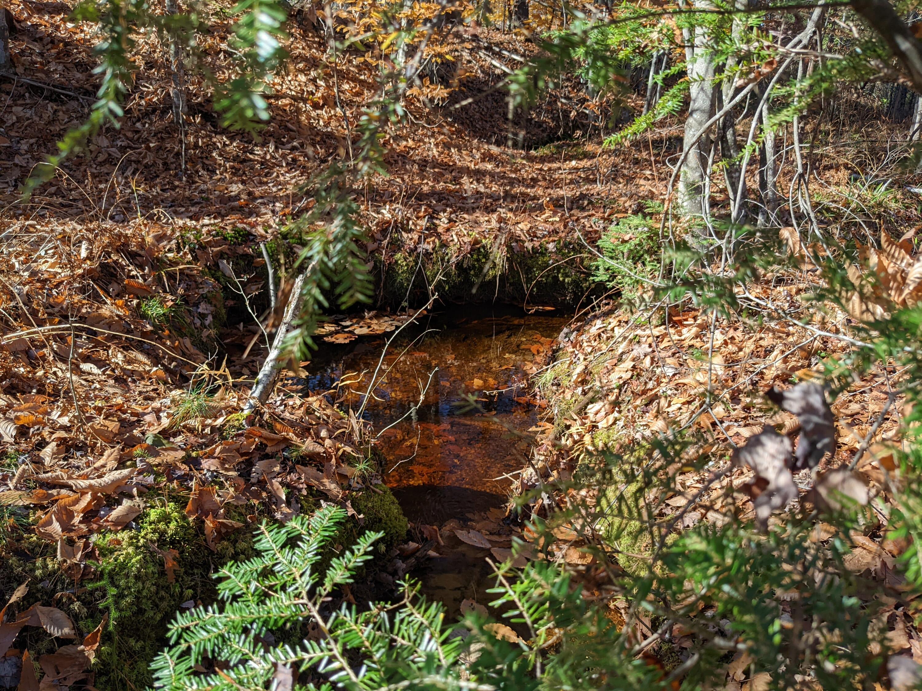 Lot # Highland Park Road Fryeburg, ME 04037 - Photo 10 of 15 Sweet Little Moose Brook