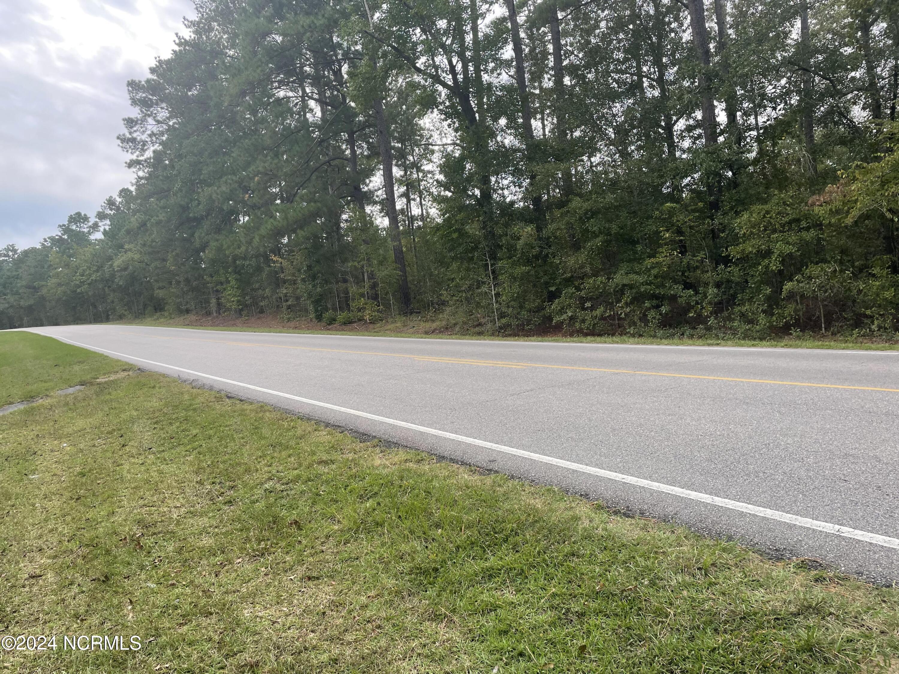 1300 McLauchlin Road Vass, NC 28394 - Photo 3 of 3 3