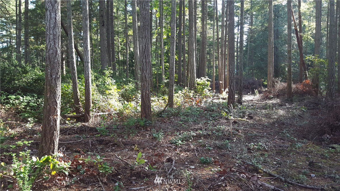 2-55 Olympic View Road Northwest Silverdale, WA 98383 - Photo 1 of 15 Gallery Image 1