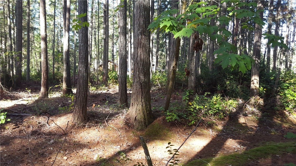 2-55 Olympic View Road Northwest Silverdale, WA 98383 - Photo 2 of 15 Gallery Image 2