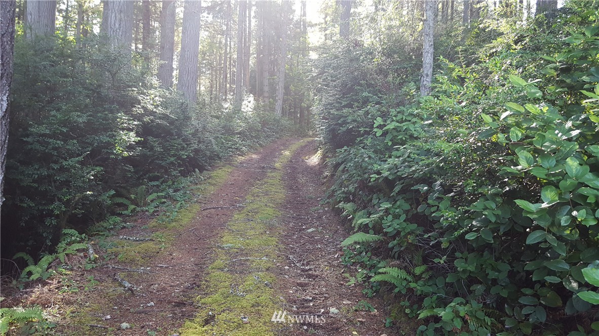 2-55 Olympic View Road Northwest Silverdale, WA 98383 - Photo 11 of 15 Gallery Image 11
