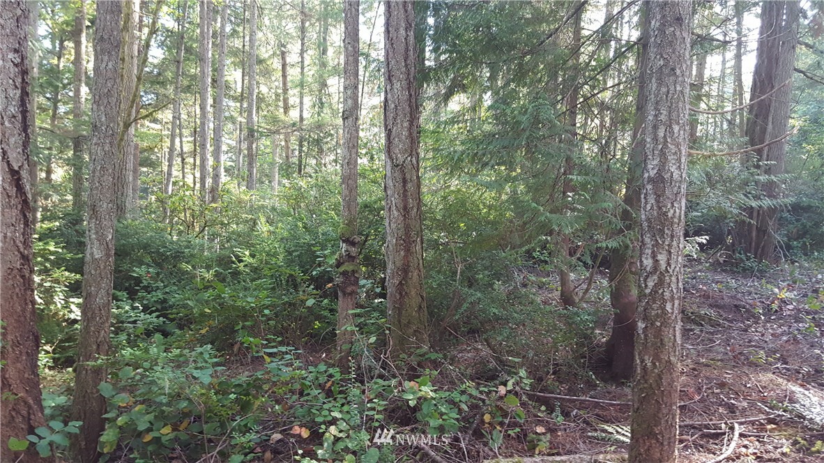 2-55 Olympic View Road Northwest Silverdale, WA 98383 - Photo 3 of 15 Gallery Image 3