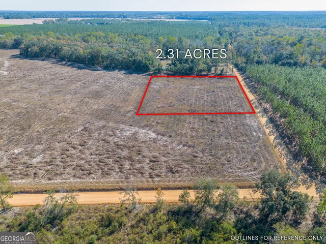 a view of a dry yard with large trees