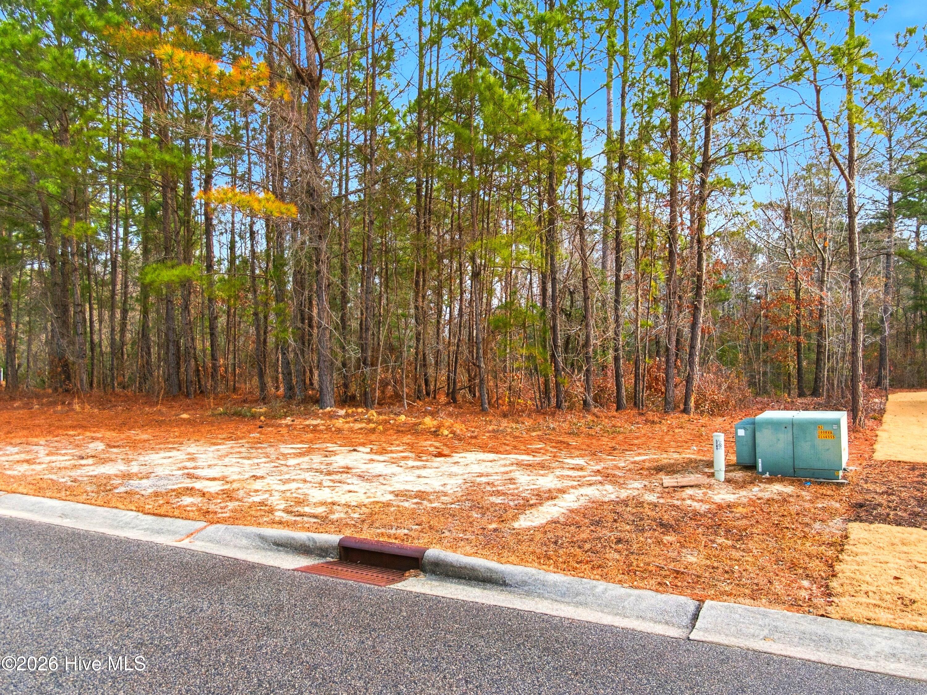 3772 Silver Melon Road Northeast Leland, NC 28451 - Photo 20 of 62 Picture 16