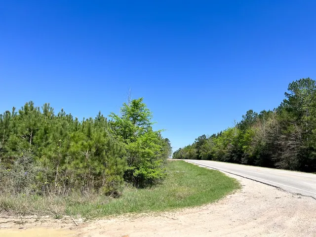 $250,000 | 3 Fm 942, Livingston, TX 77351