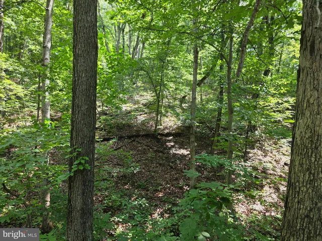 $99,900 | Hillandale Road, Front Royal, VA 22630