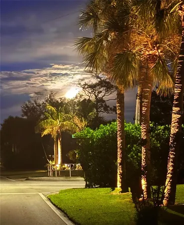 a view of a yard with palm trees
