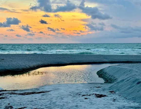 a view of an ocean beach