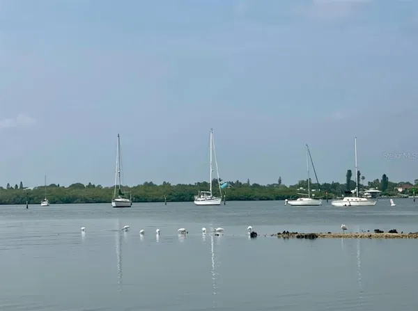 a view of lake and trees
