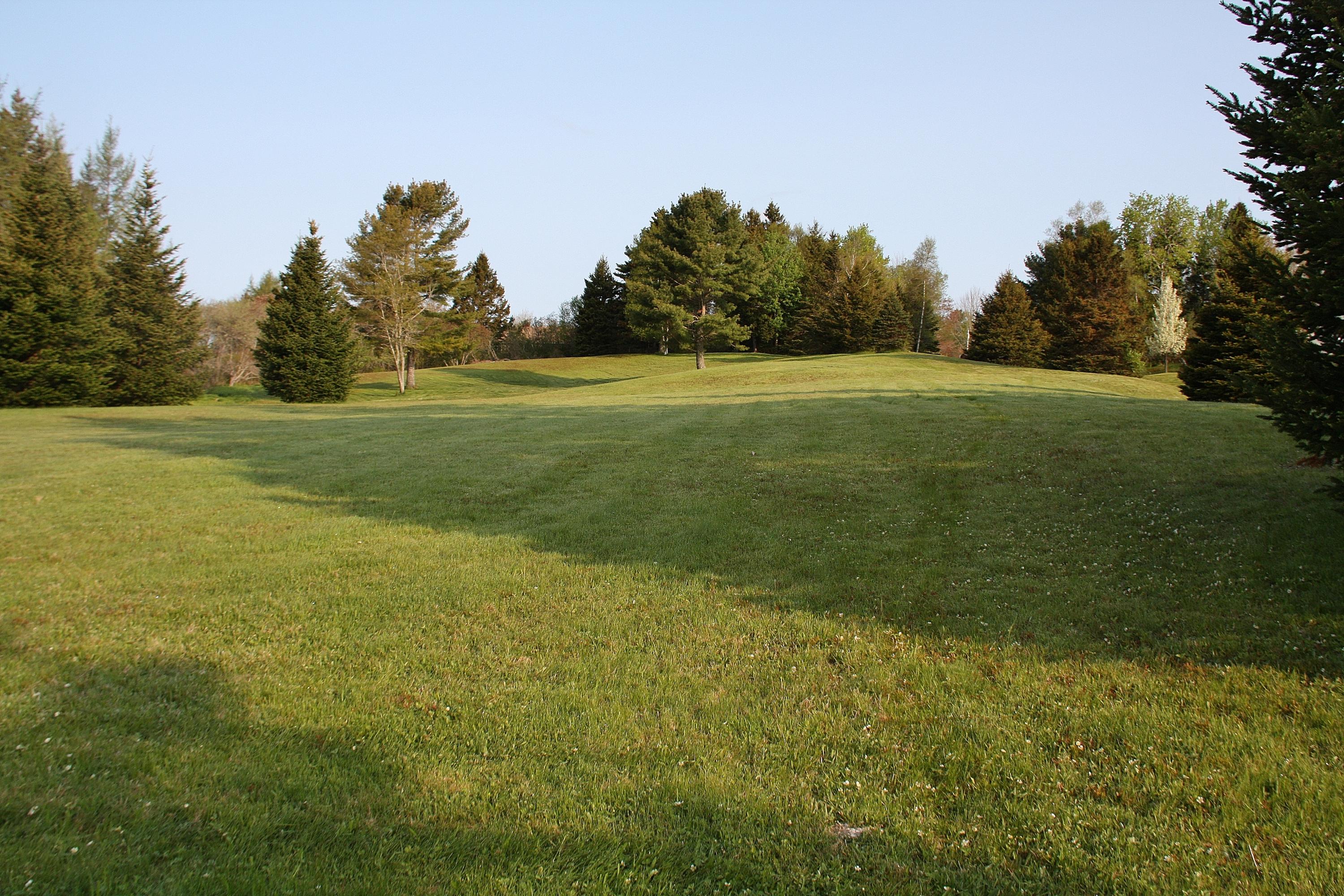 Lot 18 Back Bay Road Milbridge, ME 04658 - Photo 12 of 20 IMG_6215