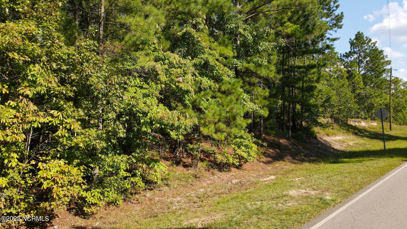 Tbd McGill Road Cameron, NC 28326 - Photo 23 of 24 McGill rd (28)
