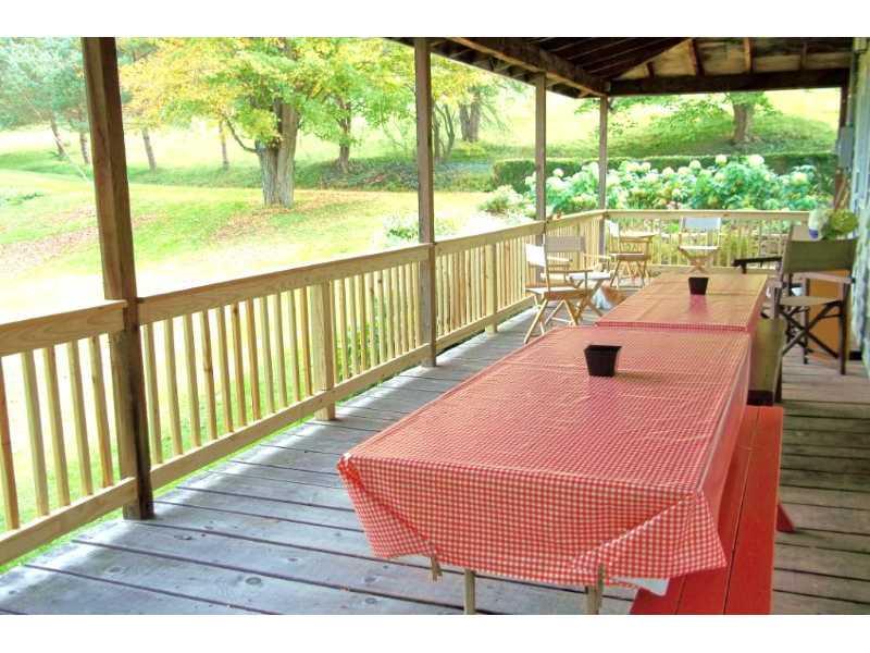 386 Old Mill Road Friedens, PA 15541 - Photo 6 of 25 Other.