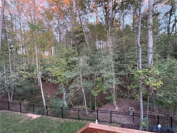 a view of a forest with a bench