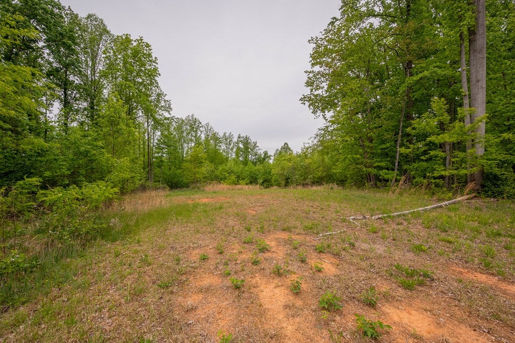 180 Gilbert Valley Road, Unit 67 Stuart, VA 24171 - Photo 40 of 53 Gallery Image 40