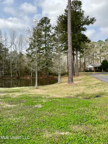 $2,500,000 | 0 Pecan Grove Drive, Magee, MS 39111