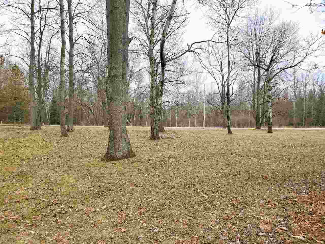 Lot 149 Larch Trail Lake, MI 48632 - Photo 4 of 6