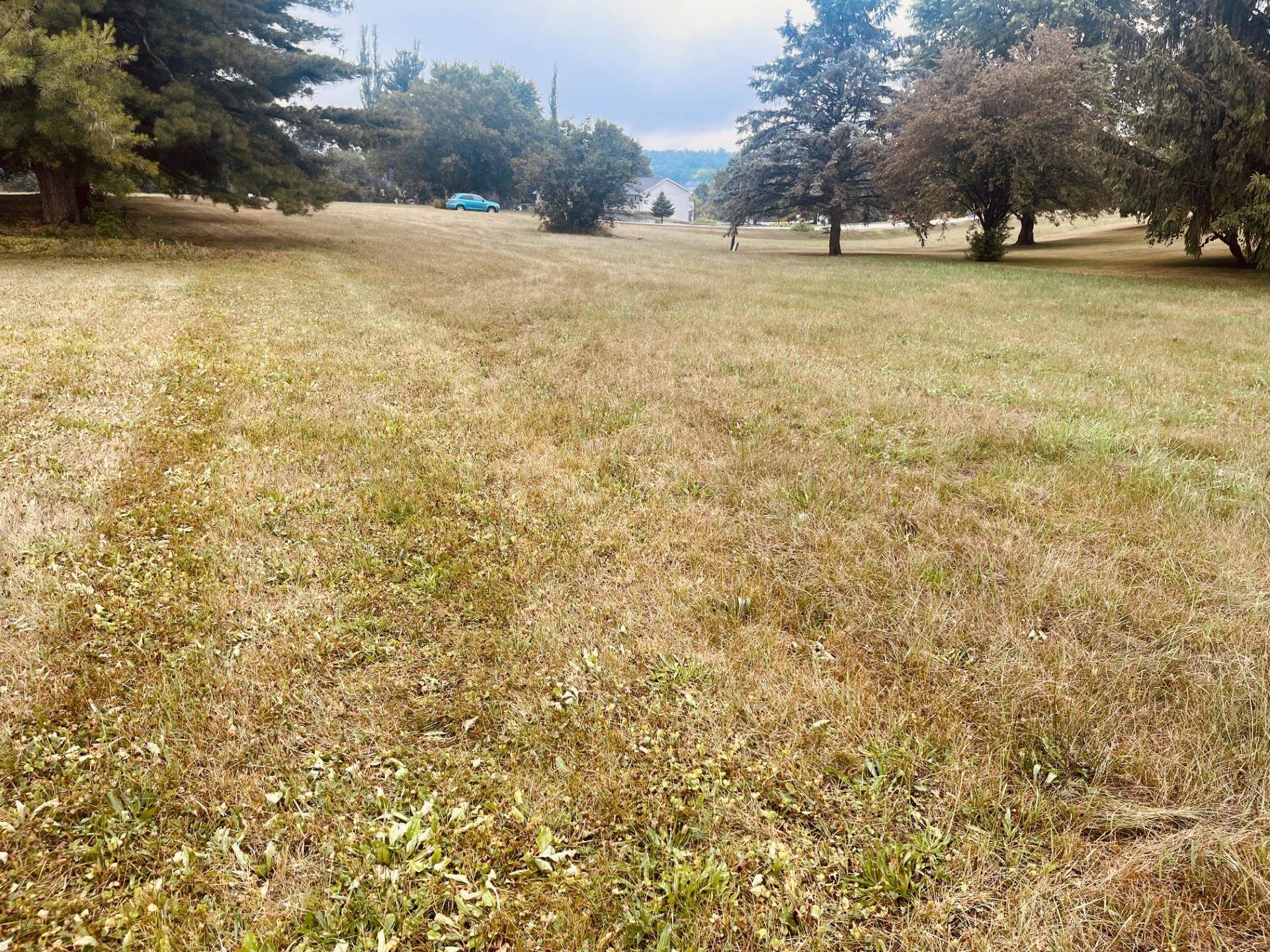 a view of an outdoor space and a yard