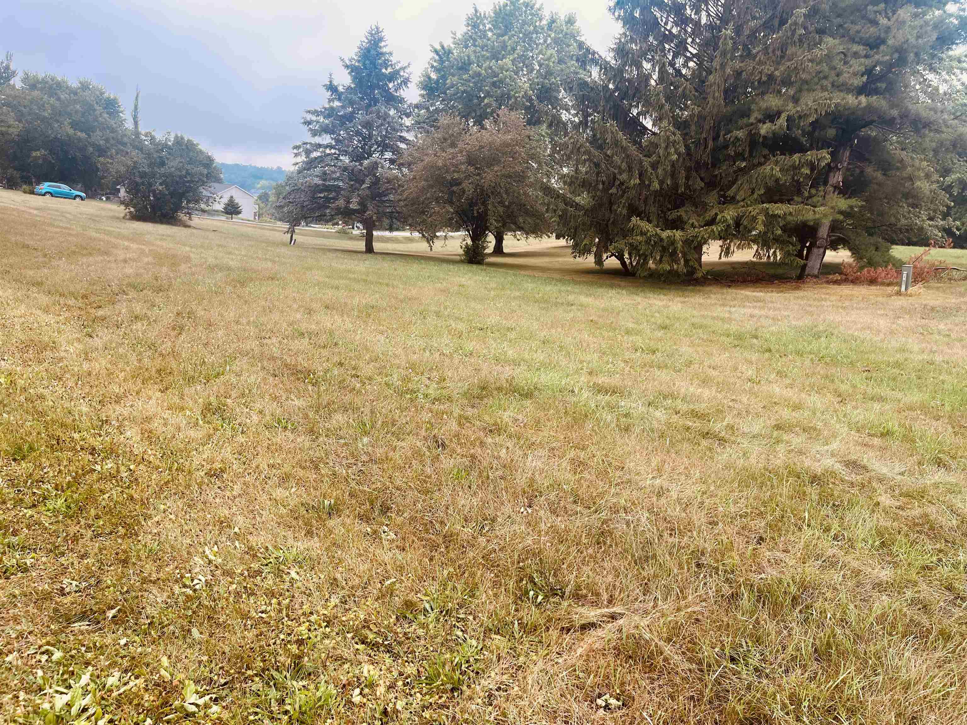 1094 Drexel Road Lake Summerset, IL 61019 - Photo 19 of 21 a view of a yard with trees
