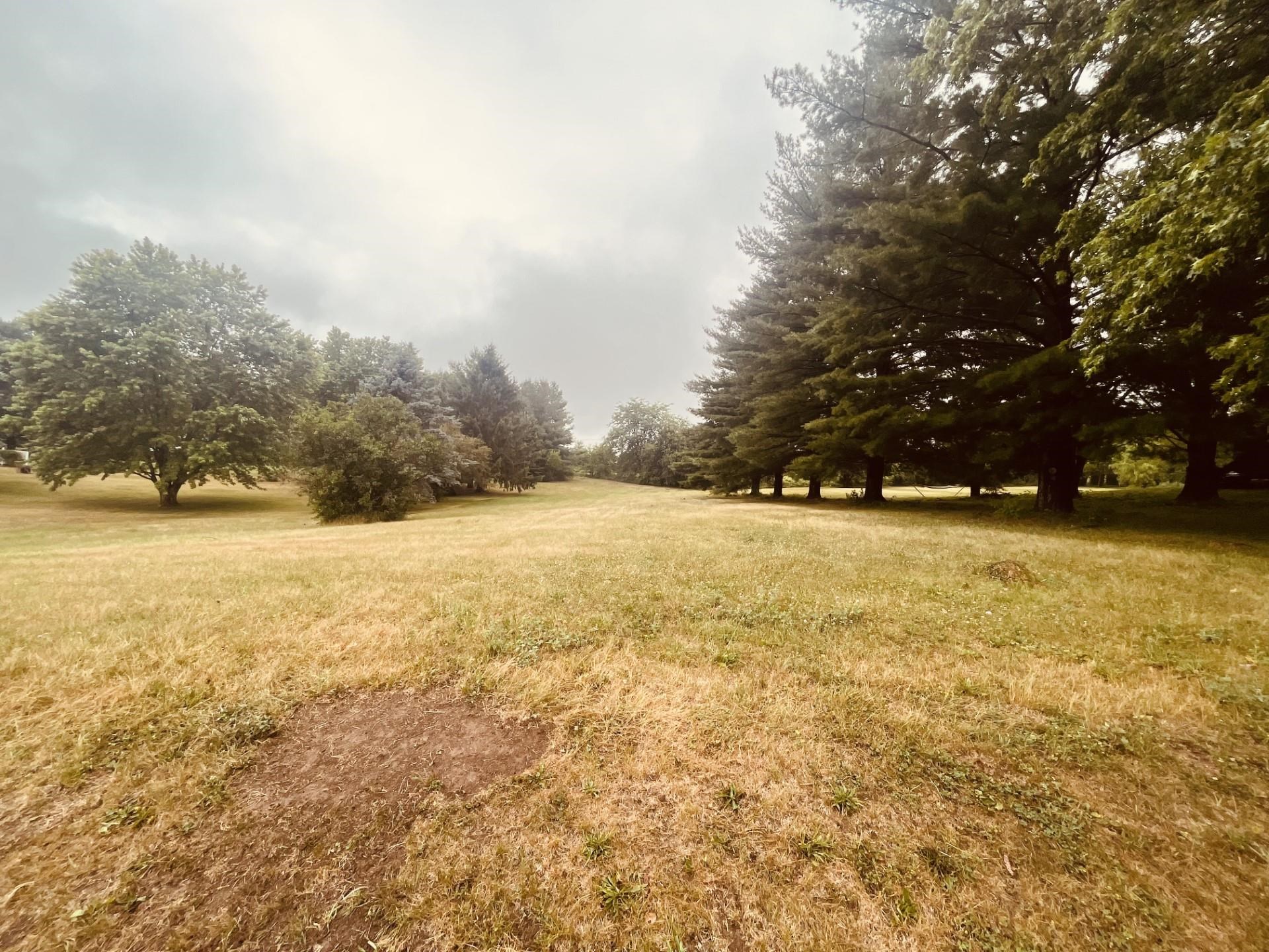 1094 Drexel Road Lake Summerset, IL 61019 - Photo 3 of 21 a view of yard and mountain view