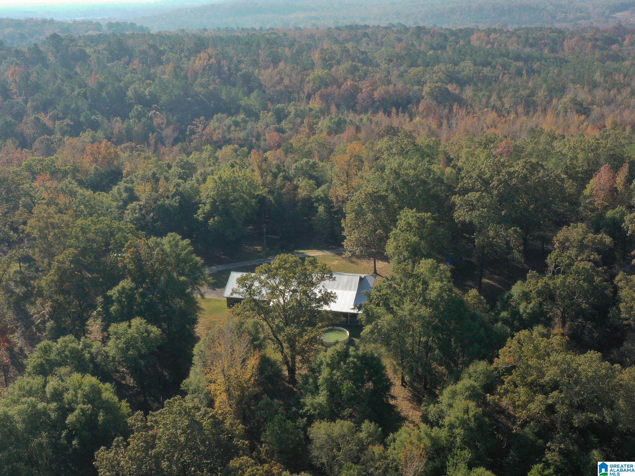 13108 Rocky Ridge Road Fosters, AL 35463 - Photo 36 of 39