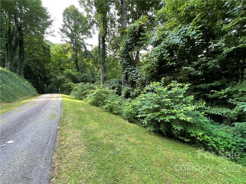 Lot 30 Kings Ridge Road, Unit LOT 30 Maggie Valley, NC 28751 - Photo 3 of 9 a view of a yard with plants and large trees