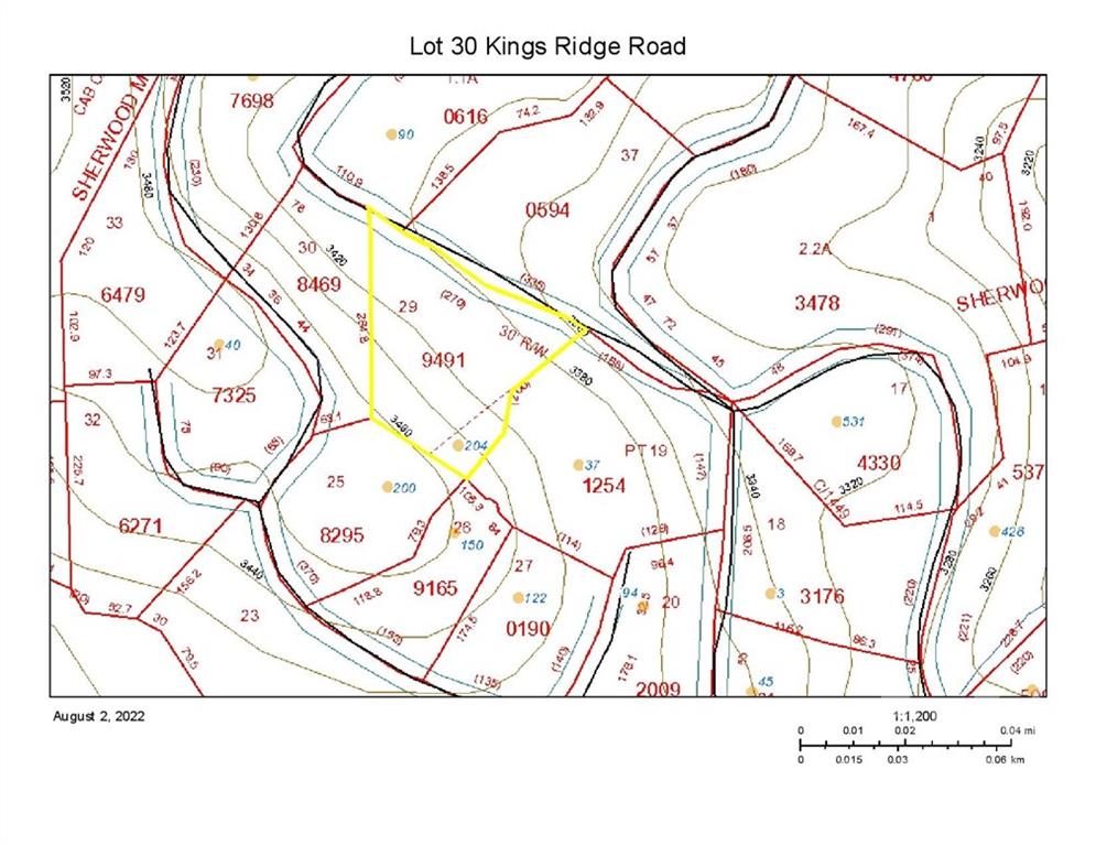 Lot 30 Kings Ridge Road, Unit LOT 30 Maggie Valley, NC 28751 - Photo 9 of 9