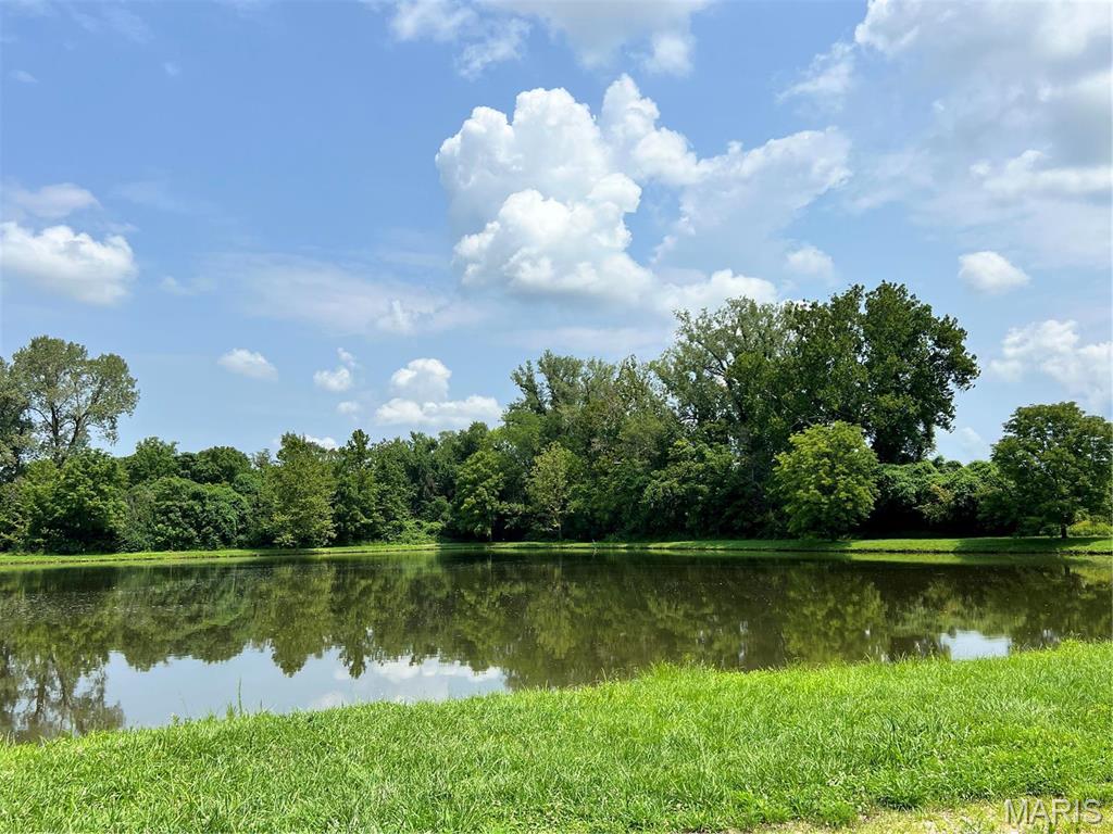 8006 Tahoe Ridge Lane Caseyville, IL 62232 - Photo 22 of 27 Gallery Image 22