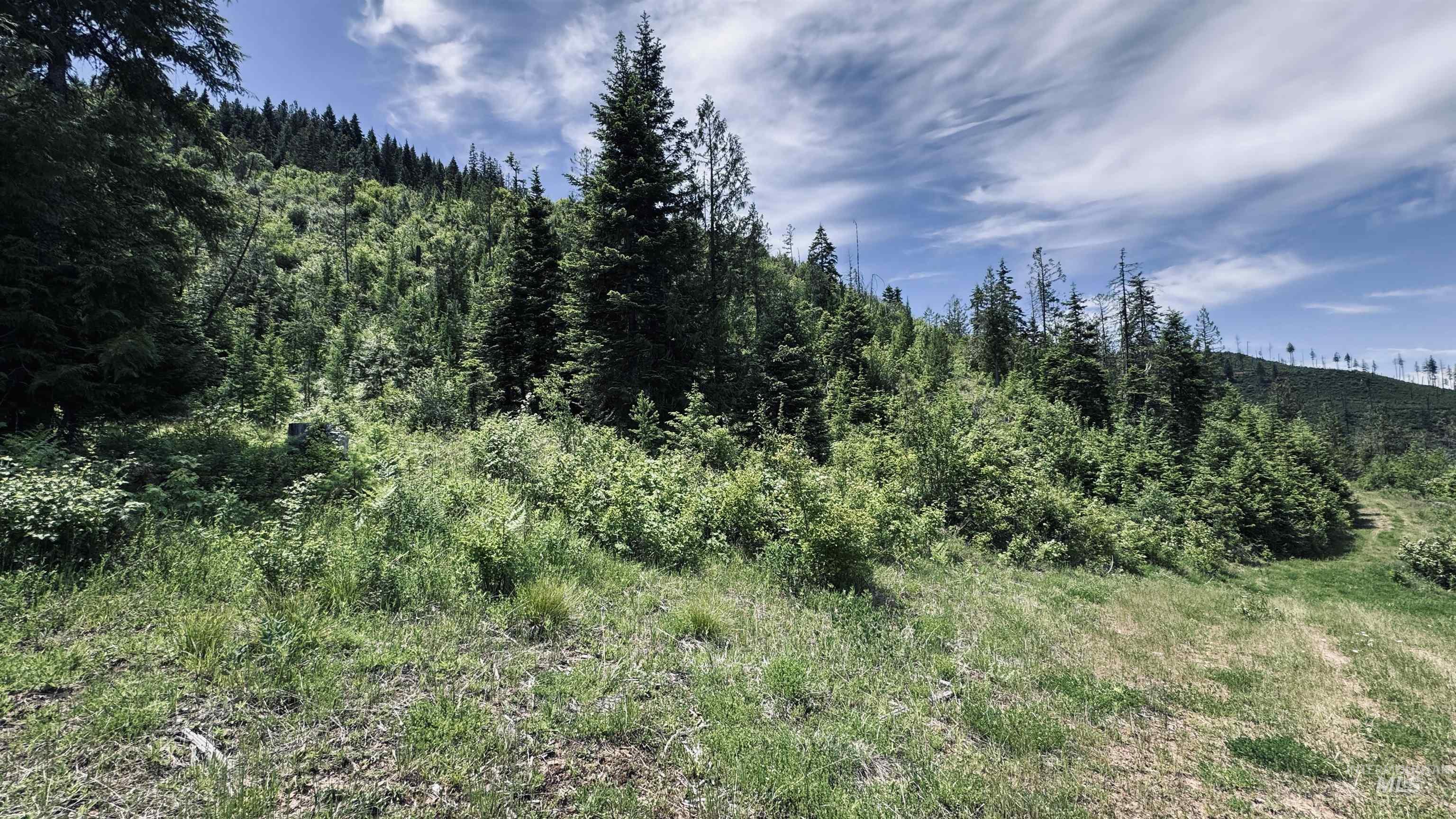 Tbd Glenwood Road Kamiah, ID 83536 - Photo 50 of 50