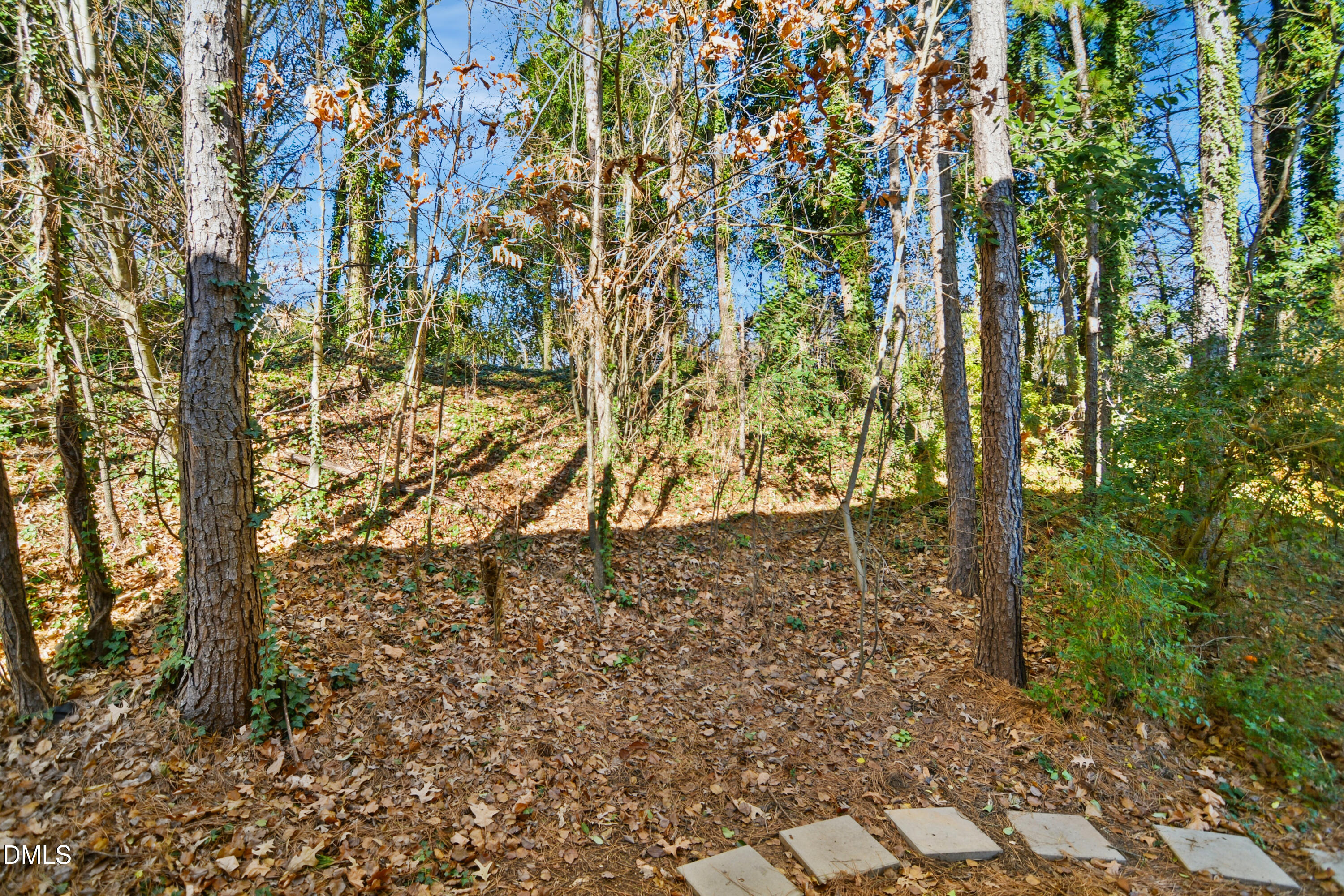 1931 Tischer Road Raleigh, NC 27603 - Photo 18 of 19 a view of a yard with large trees
