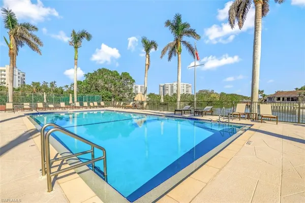 a view of a swimming pool with a lawn chairs and palm tree