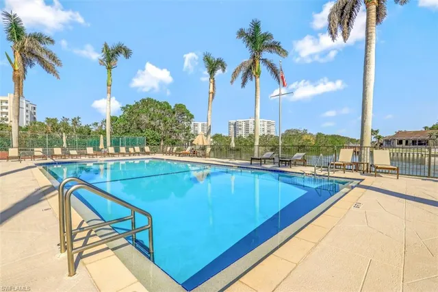 a view of a swimming pool with a lawn chairs and palm tree