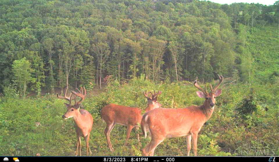 A Enley Road McDermott, OH 45652 - Photo 7 of 97