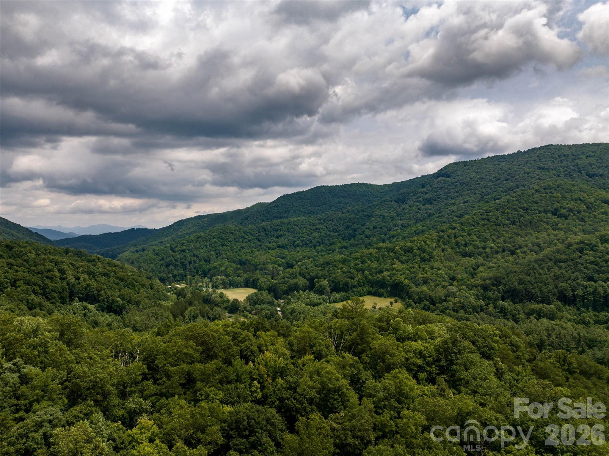 0 Lake Logan Road Canton, NC 28716 - Photo 7 of 22 a view of a city with lush green forest