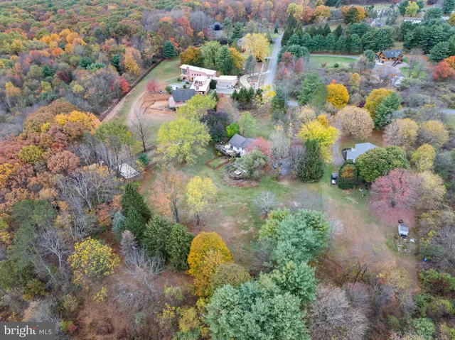 a view of a bench in a yard