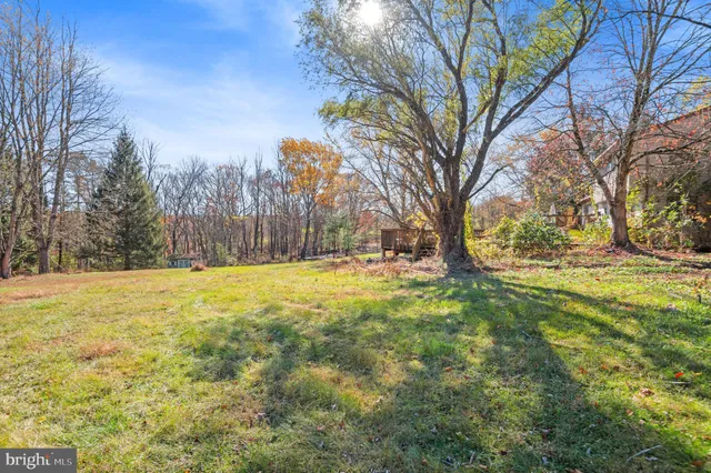a view of a house with backyard space and a tree