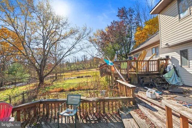 a view of yard with trees