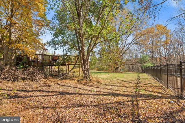 a view of yard with trees