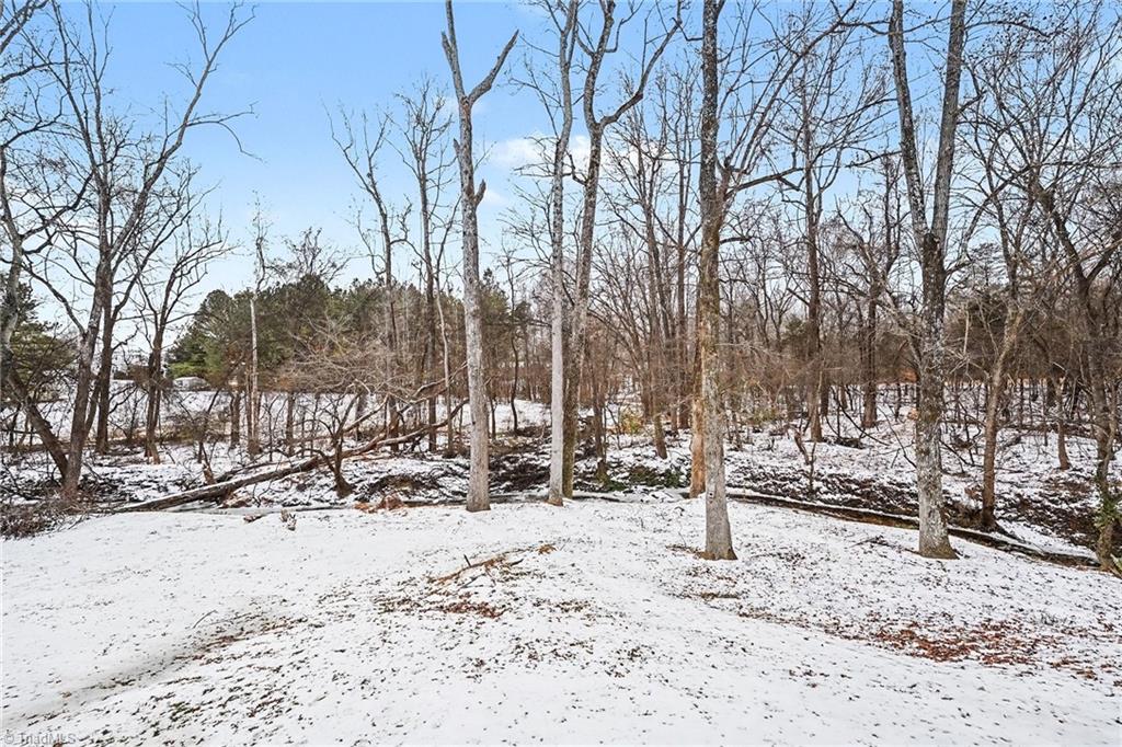 2702 Durham Street Extension Burlington, NC 27217 - Photo 11 of 31