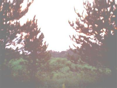 59556 Long Lake Road Colon, MI 49040 - Photo 1 of 2 Primary Photo