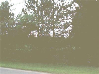 59556 Long Lake Road Colon, MI 49040 - Photo 2 of 2 Additional Photo