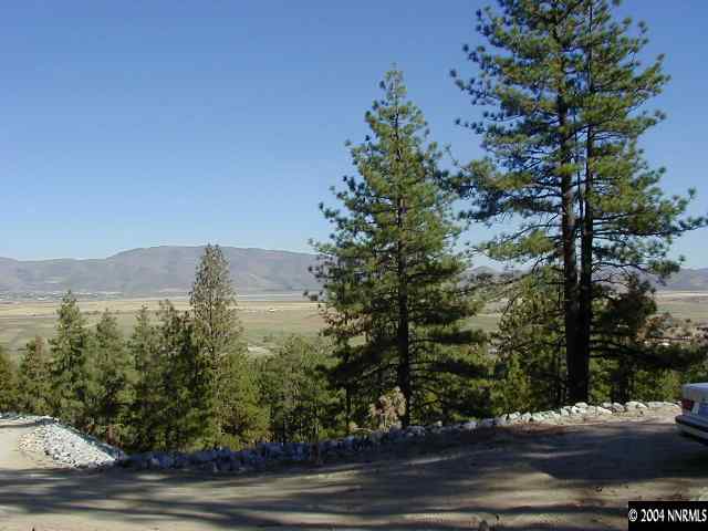 0 Will Sauer Road Reno, NV 89511 - Photo 3 of 6 Photo 3